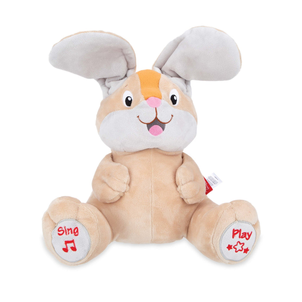 Plush Motion Toy (B6TF)