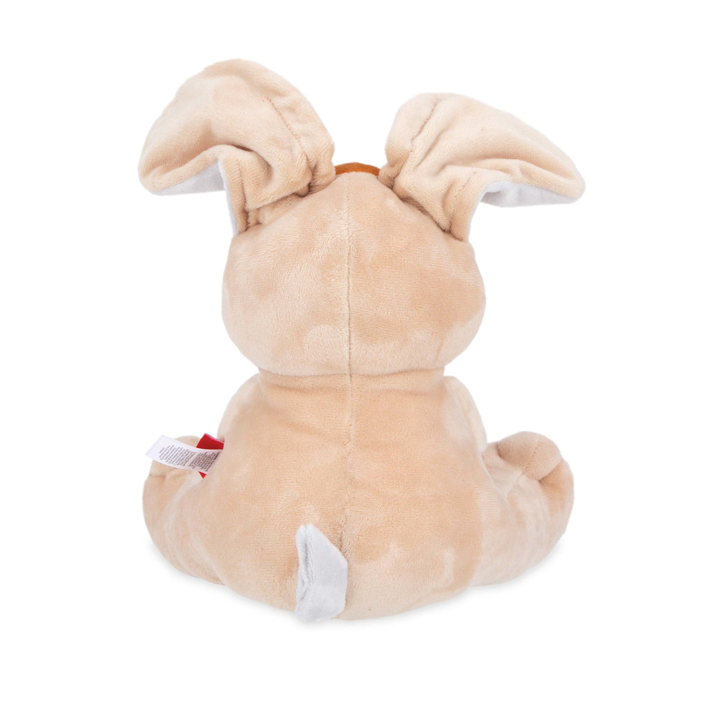 Plush Motion Toy (B6TF)