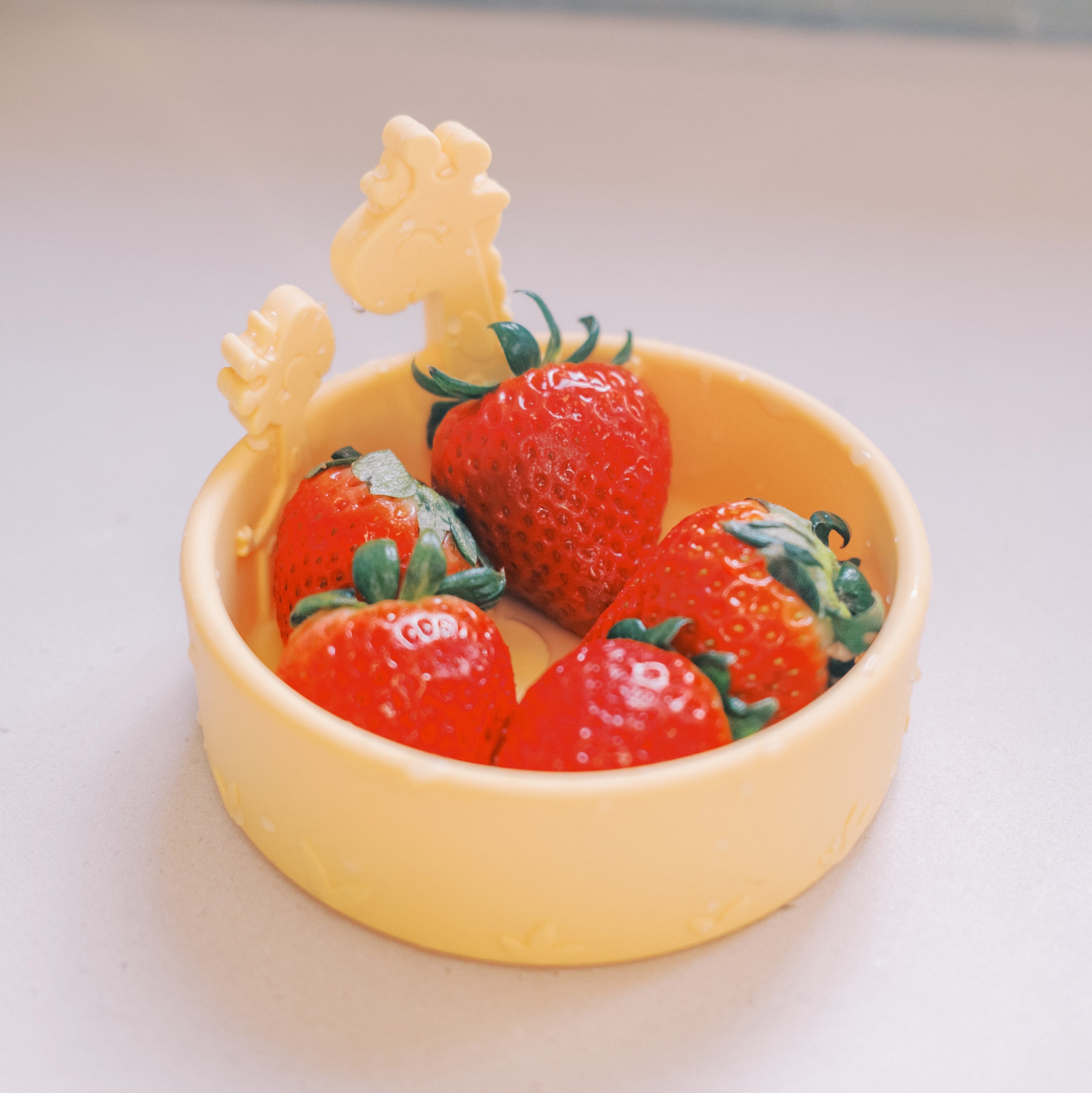 Animal Friends All Silicone Bowl (Z60A)