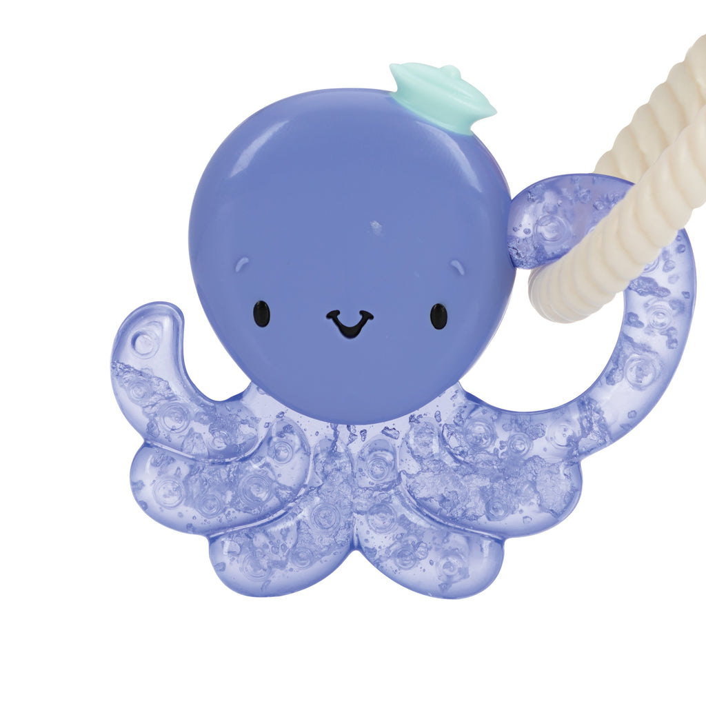 IcyBite Sea Teether Keys (KTED)