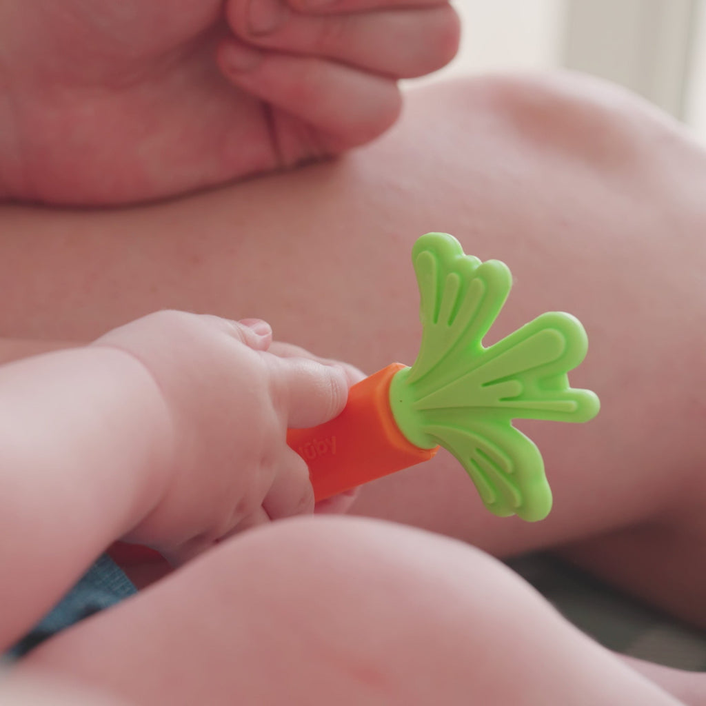 Carrot Teether Set (2 Pack) (NAW8)