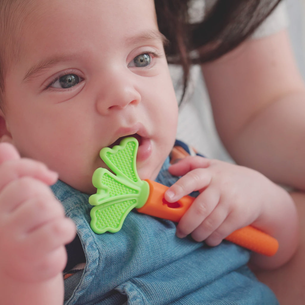 Carrot Teether Set (2 Pack) (NAW8)