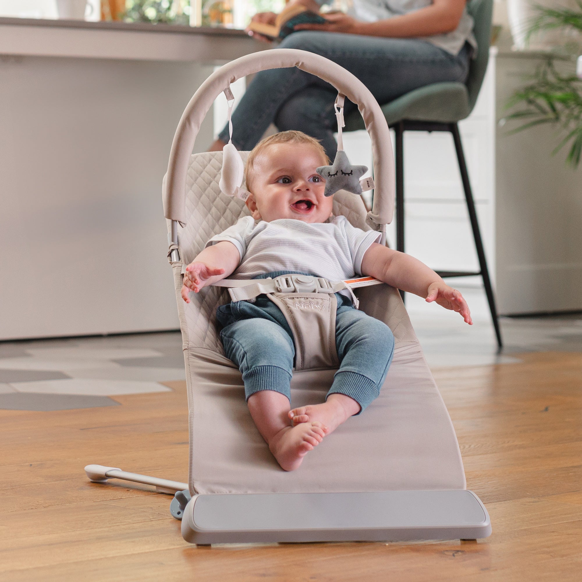 Baby Bouncer Seat | Grey (ZHS8)