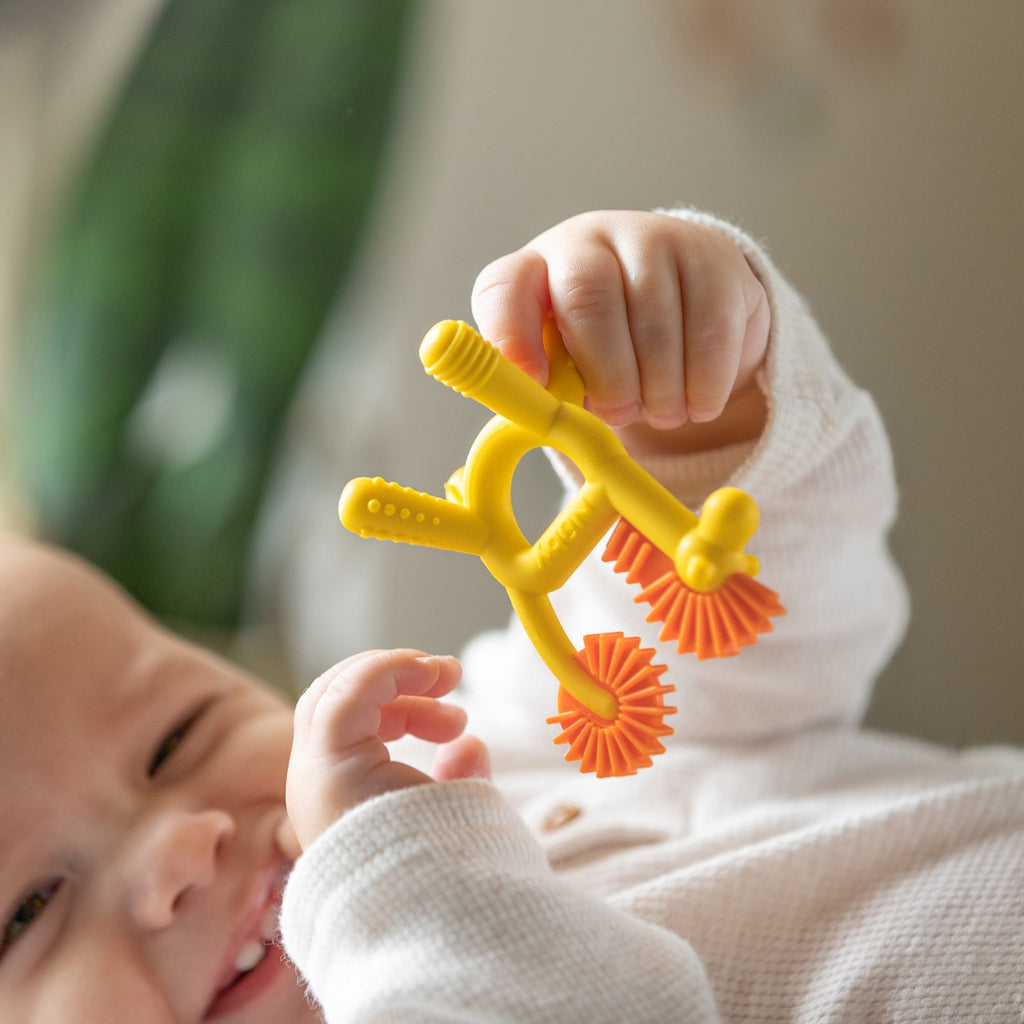 Geo Zoo Silicone Teether (00Y1)