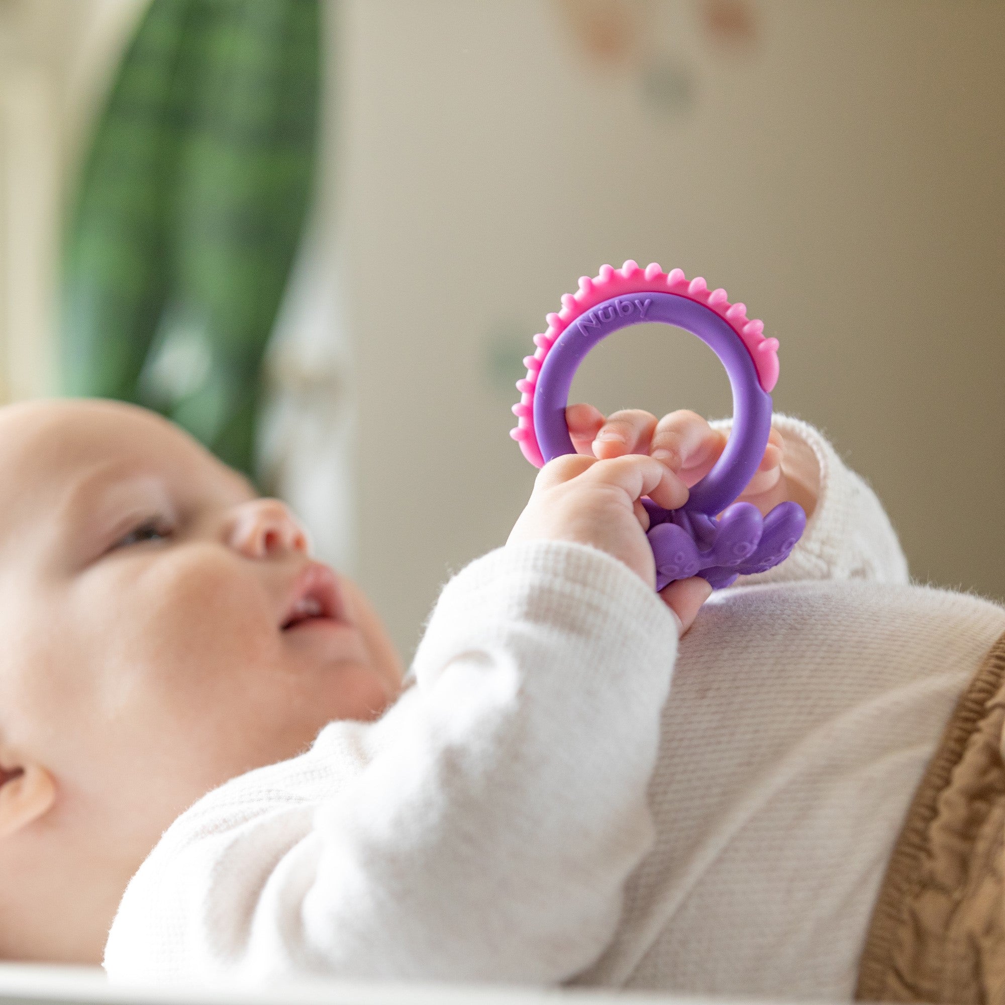 Geo Zoo Silicone Teether (00Y1)