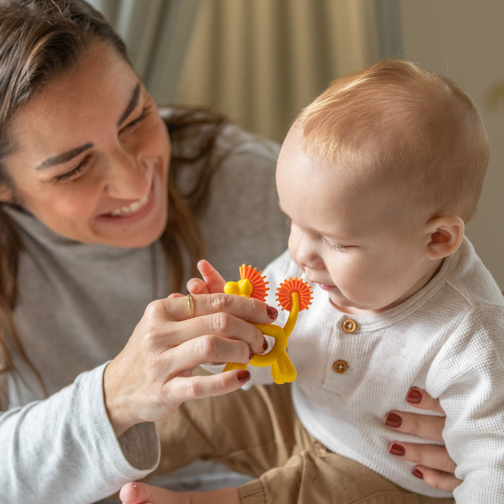 On-the-Go Teething Times Bundle (ZZ0X)