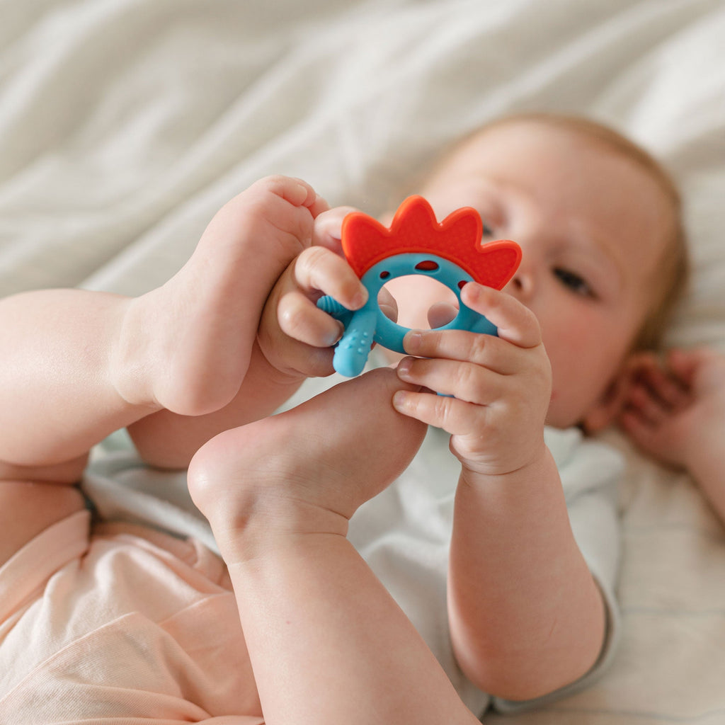 Geo Zoo Silicone Teether (00Y1)