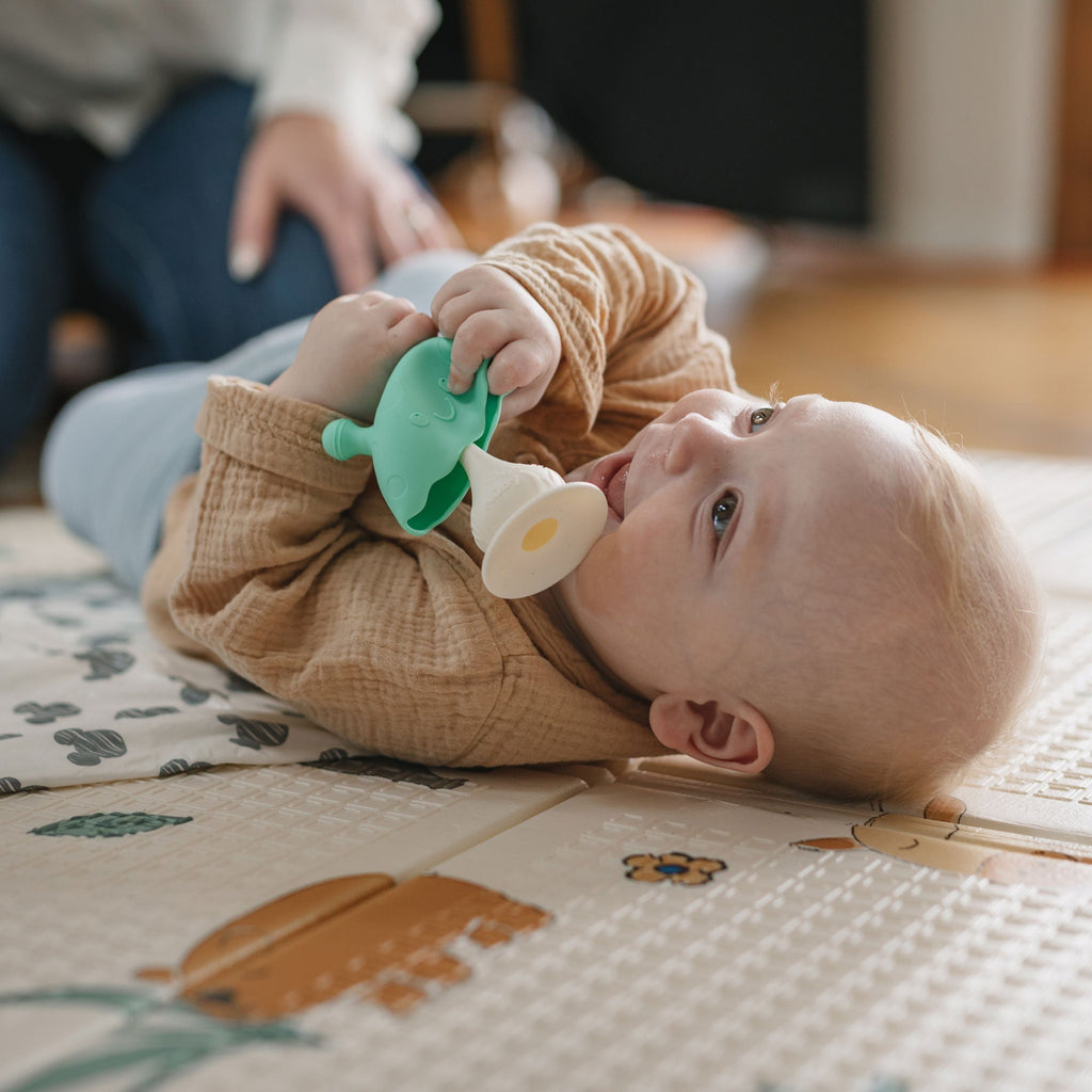 On-the-Go Teething Times Bundle (ZZ0X)