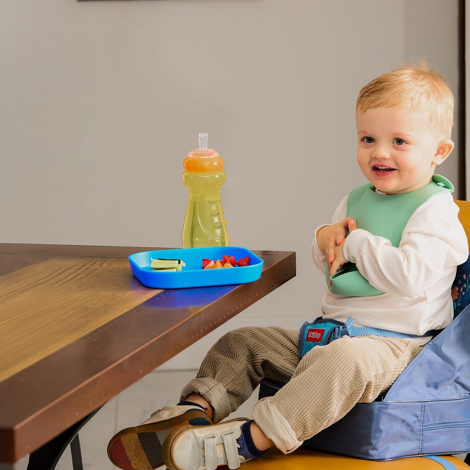 Easy Go High Chair Booster Seat | Bears (22DX)