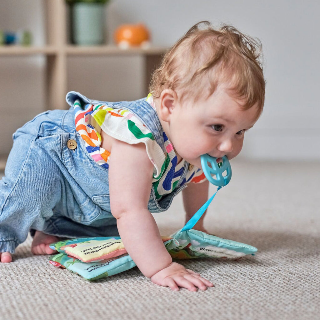 Baby Sensory Book | Dino (ALNW)