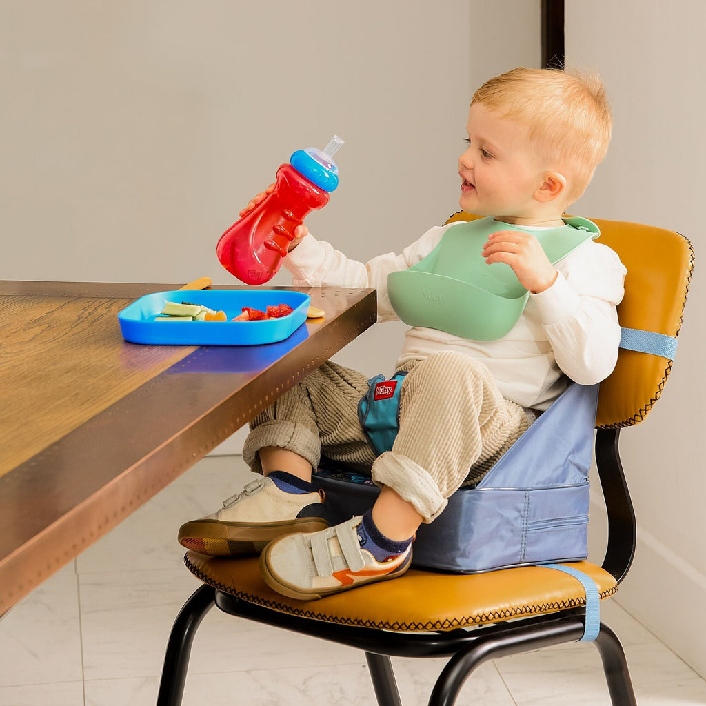 Easy Go High Chair Booster Seat | Bears (22DX)