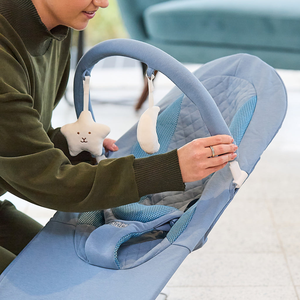 Deluxe Baby Bouncer Seat | Blue (I2FS)