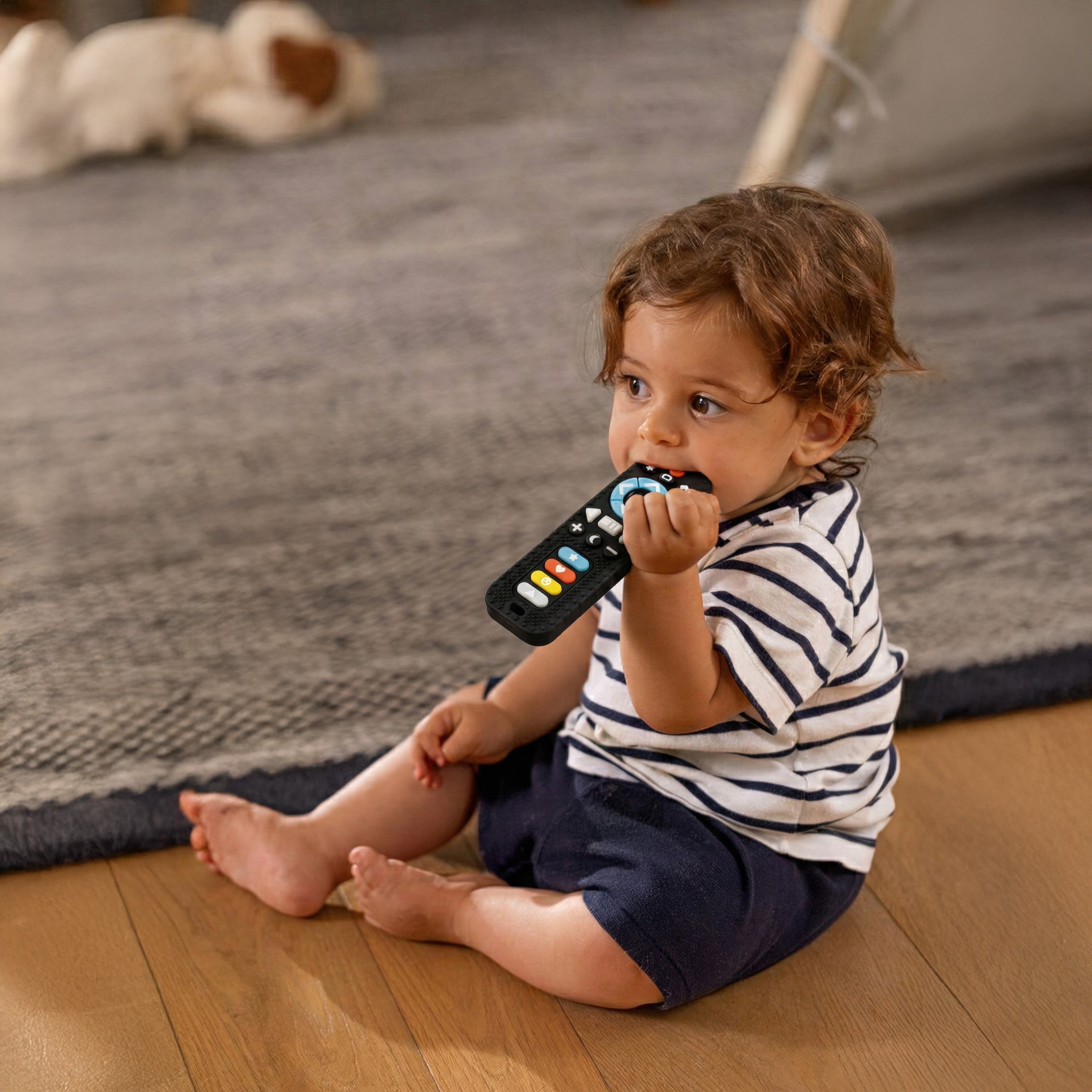 Silicone Remote Control Teether Toy (34V2)